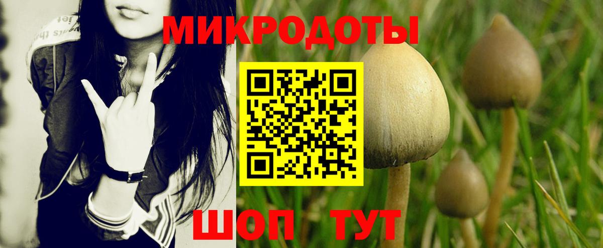 Псилоцибиновые грибы GOLDEN TEACHER Уфа