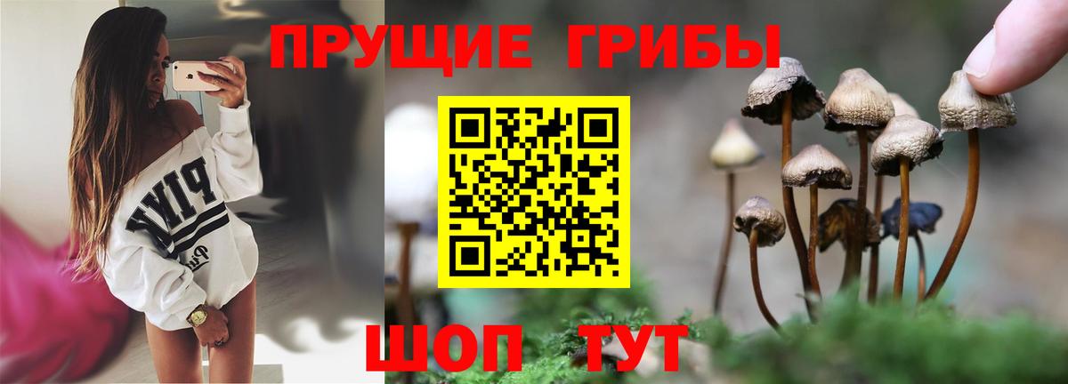 Уфа  Псилоцибиновые грибы Magic Shrooms  Вход с VPN 